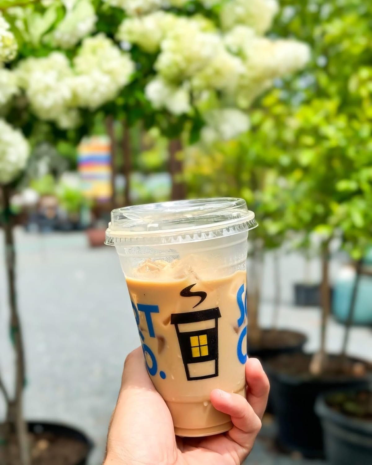 Grossiste en gobelets en plastique PET personnalisés de 16 oz pour boissons froides (quantités de 100 à 1 000) avec logo personnalisé par fabricant.