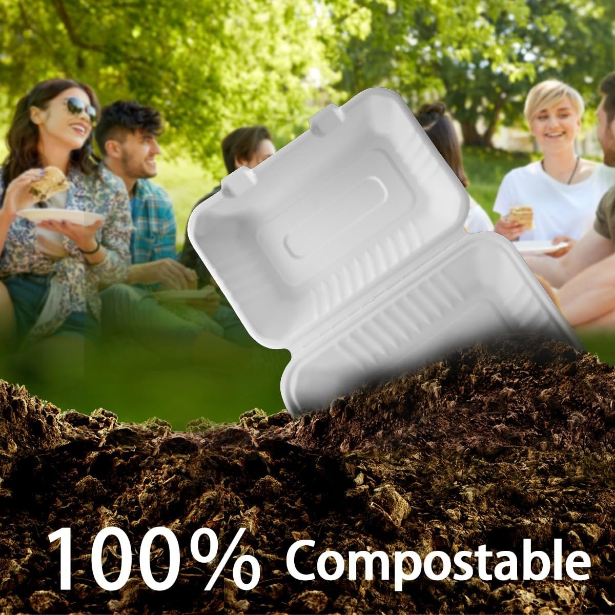 Conteneurs à emporter 9x6 pouces en bagasse compostable, Vente en gros, 75 pièces, Boîtes alimentaires jetables avec couvercles, Grossiste en contenants pour déjeuner et préparation de repas, Fabricant durable.