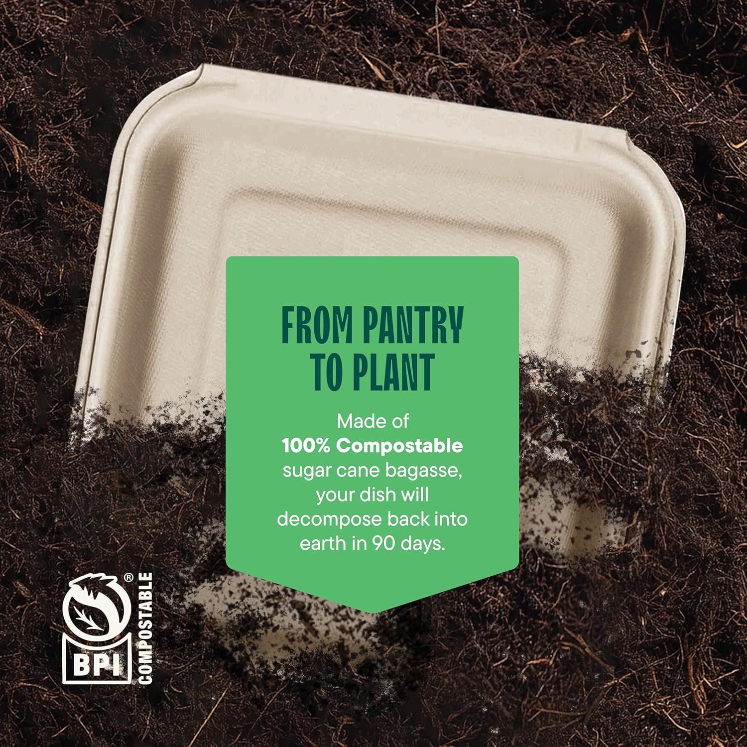 Clamshell 100% Compostable Contenants à Emporter [8X8