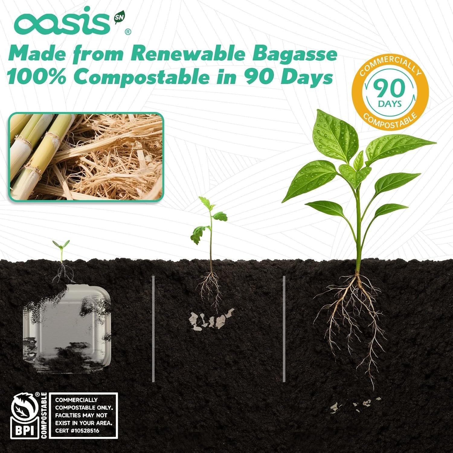 Grossiste de Contenants Alimentaires à Emporter Compostables 6x6, Boîtes en Papier Bagasse Biodégradables pour Burgers et Sandwiches, Logo Personnalisé, Fabricant Éco-Responsable, Vente en Gros, Résistantes au Micro-ondes et au Congélateur (Blanc, Petit)