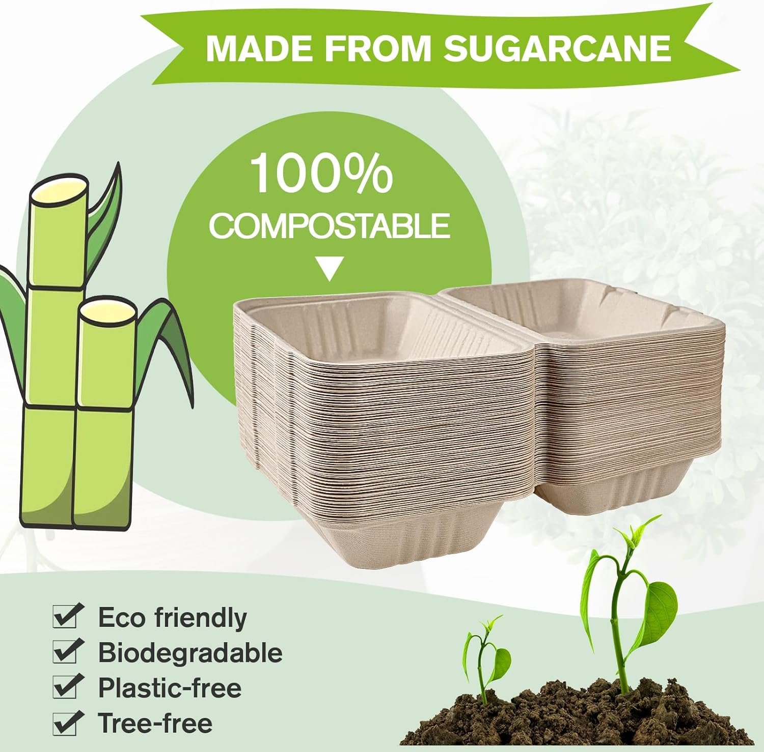 Grossiste Contenants Alimentaires Compostables 100% Biodégradables, 9X6 pouces, Fournisseur de Boîtes à Emporter, OEM, Contenants Jetables Écologiques.