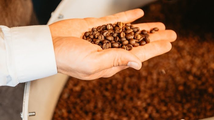 Un zoom sur la scène café à Marseille : Expériences authentiques au Café Lauca « La Boutchica » Un zoom sur la scène café à Marseille : Expériences authentiques au Café Lauca « La Boutchica »