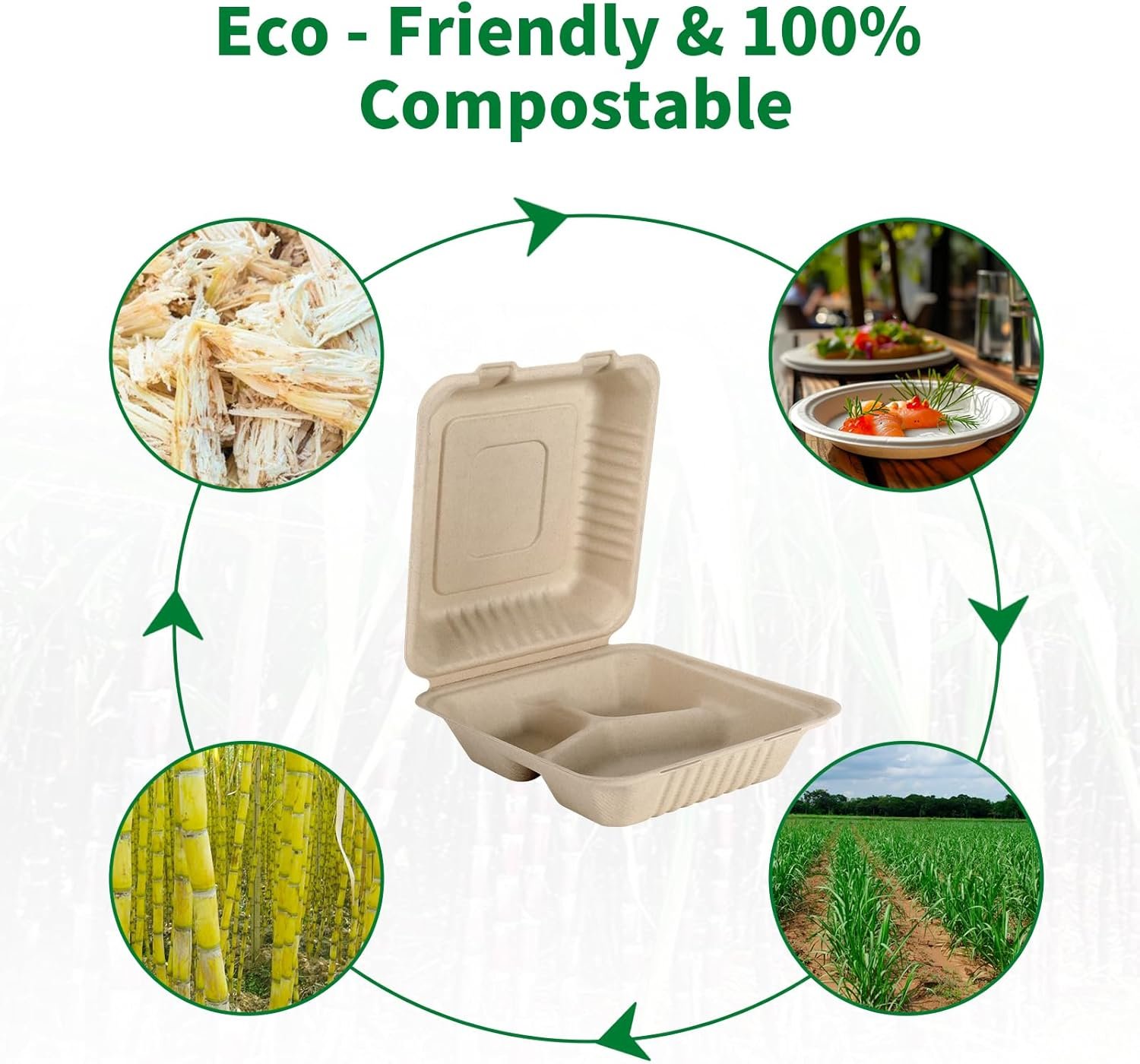 Grossiste 50 Pack de Boîtes à Lunch Compostables À Emporter 8x9 Pouces avec Couvercle, Solutions Écologiques Biodegradables en Bagasse, Fabricant OEM PFAS-free Marron