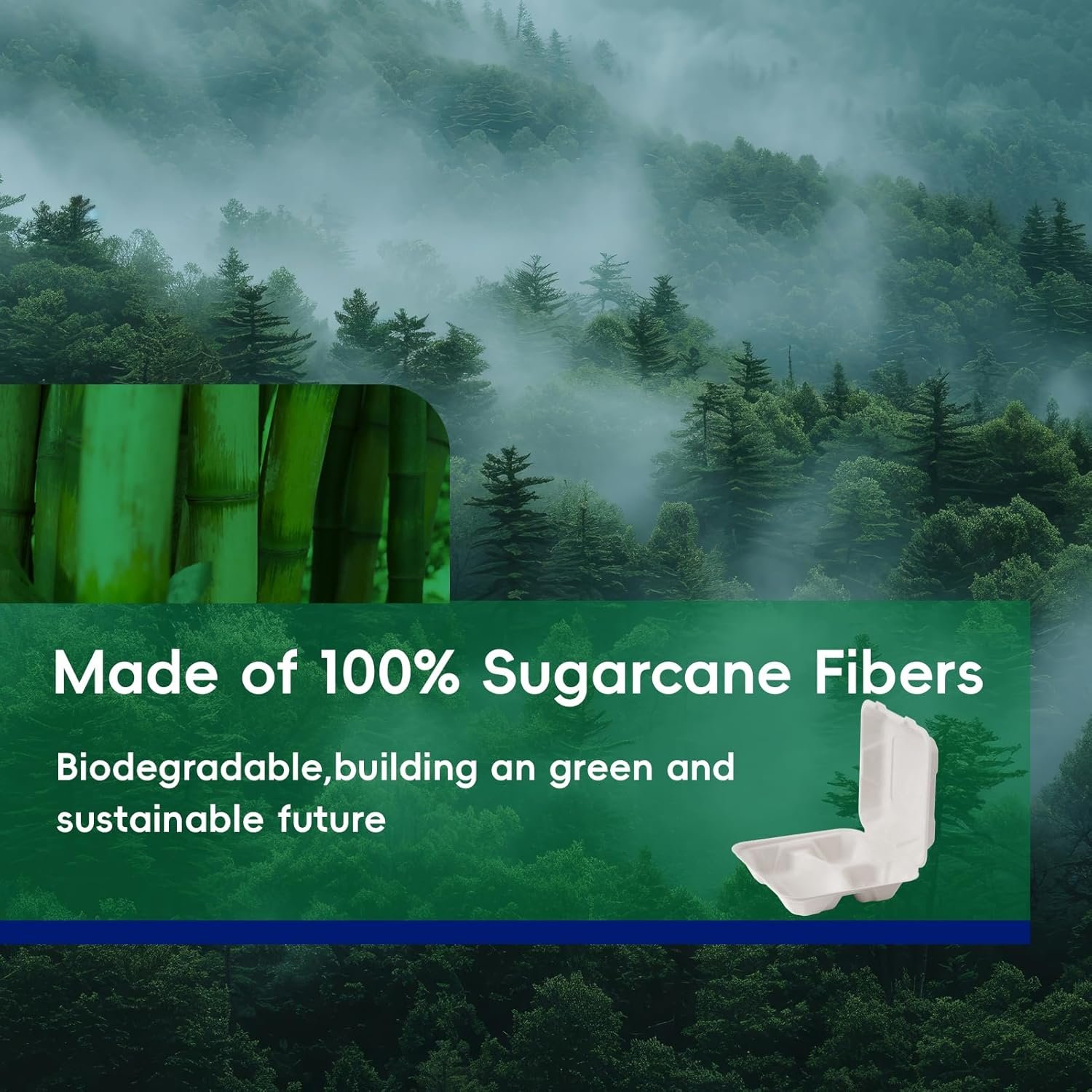 Grossiste en conteneurs alimentaires jetables à emporter 8 x 8