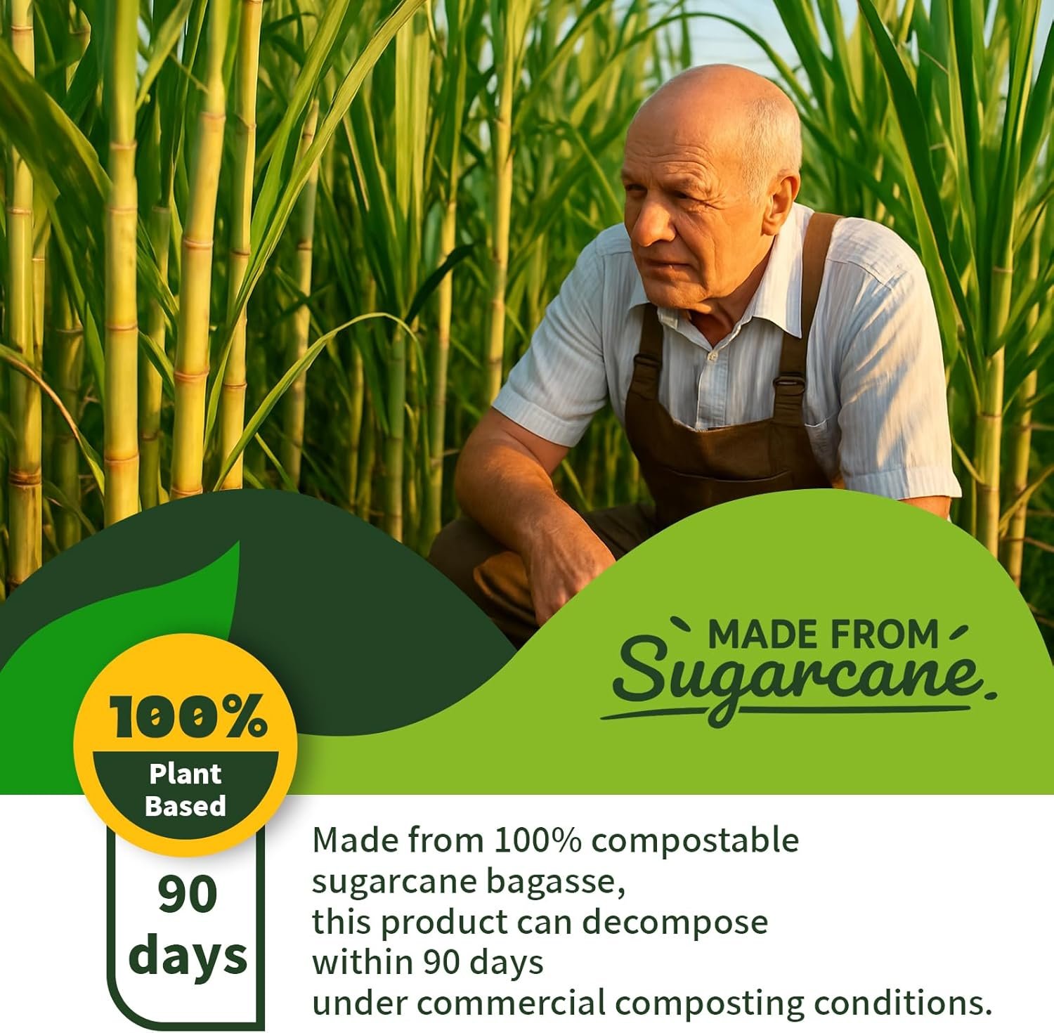 Grossiste contenant à emporter 9x6 pouces, 75 pack de boîtes compostables en bagasse de canne à sucre, récipients jetables pour repas, OEM, avec couvercles, micro-ondable Grossiste contenant à emporter 9x6 pouces, 75 pack de boîtes compostables en bagasse de canne à sucre, récipients jetables pour repas, OEM, avec couvercles, micro-ondable