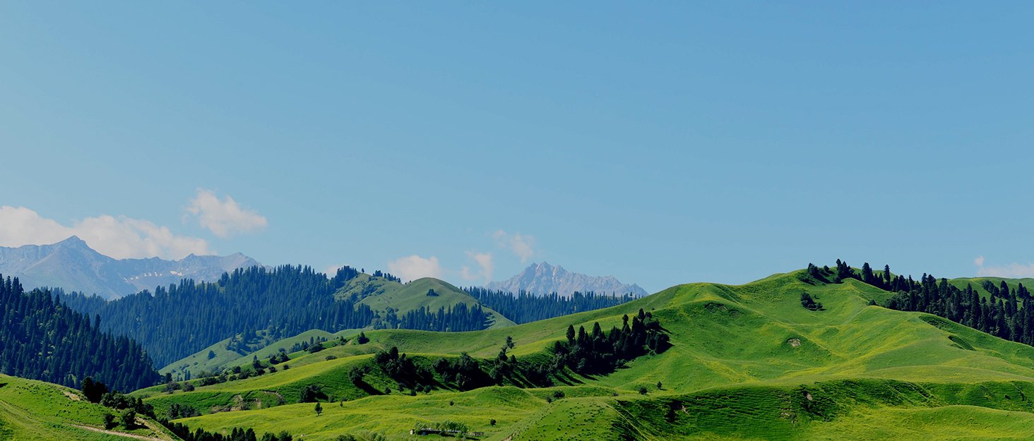 Grossiste en sacs à provisions biodégradables 200 unités, 11,5 x 6,25 x 21 pouces, sacs en plastique compostables avec logo personnalisé, sacs de transport robustes en vente en gros, 16 microns.