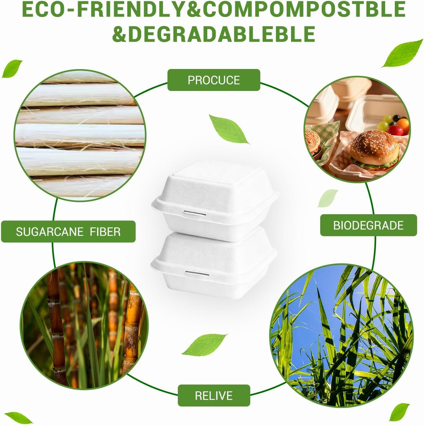 Grossiste en boîtes à burger jetables 100 pcs 6