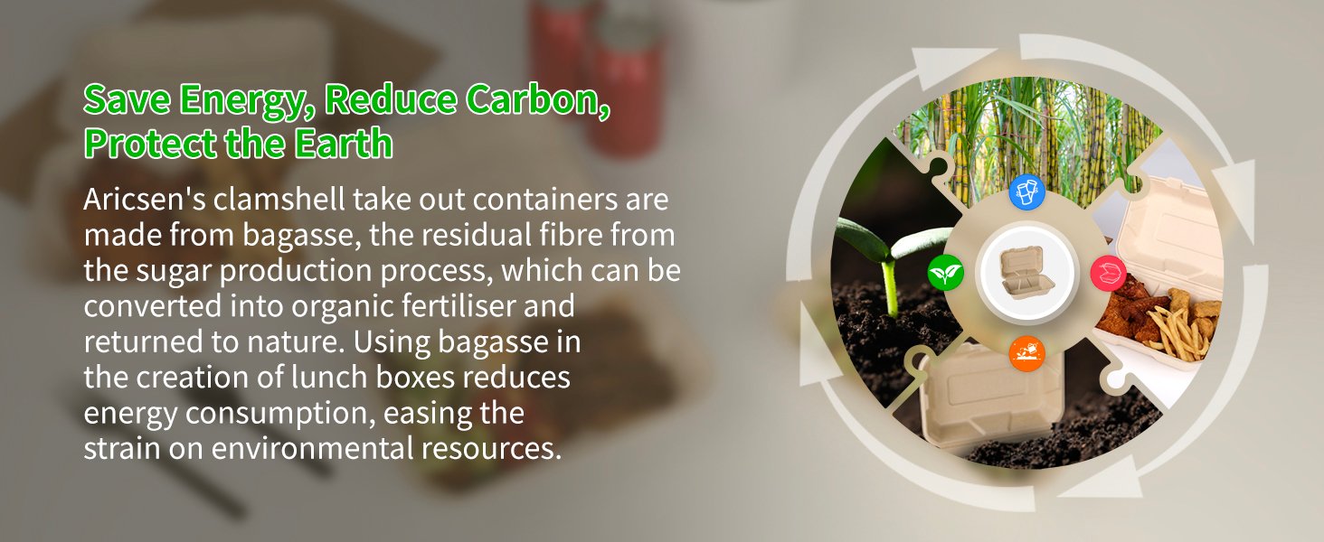 Grossiste Contenants à Emporter Compostables 100 Pack 9x6 Pouces avec Couvercle, Eco-Friendly Biodegradables en Bagasse, Fabricant Vente en Gros PFAS-Free, Brun, OEM