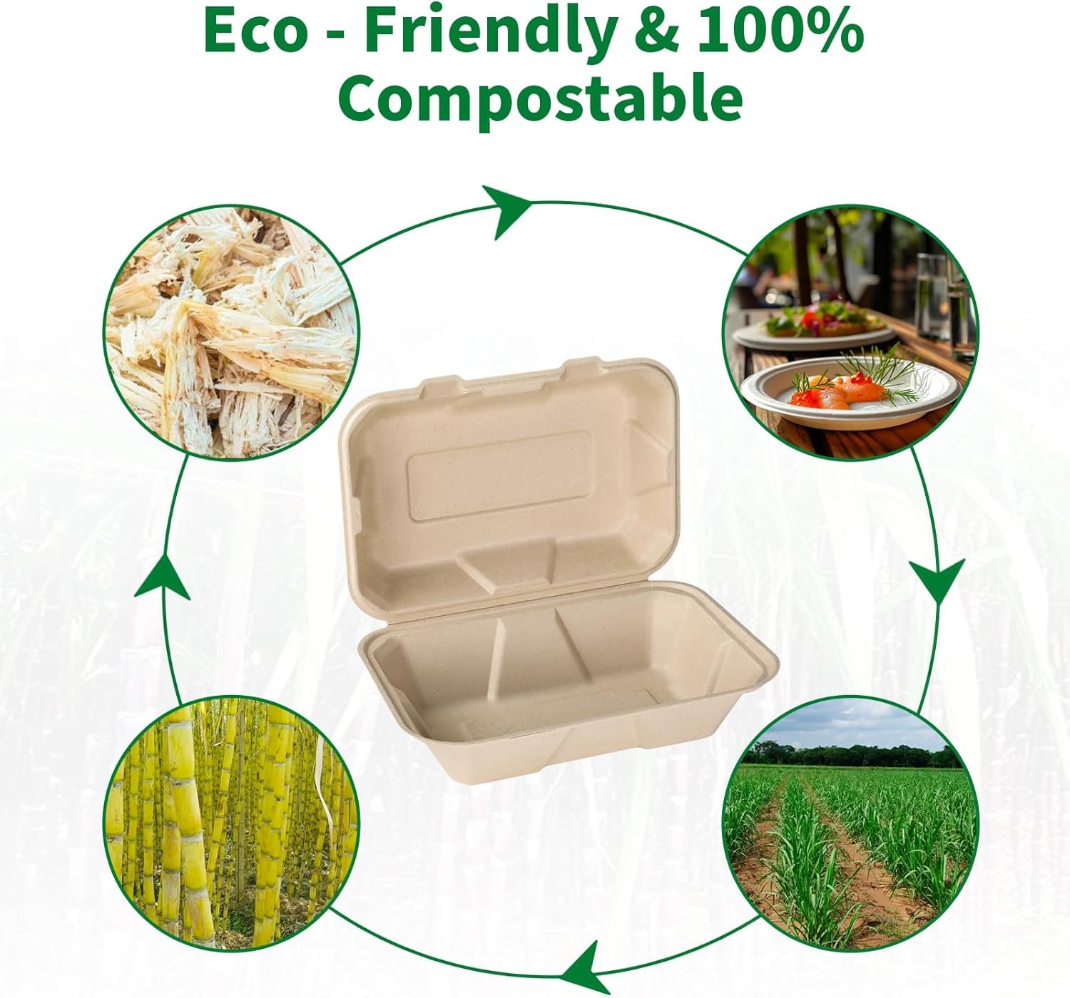 Grossiste Contenants à Emporter Compostables 100 Pack 9x6 Pouces avec Couvercle, Eco-Friendly Biodegradables en Bagasse, Fabricant Vente en Gros PFAS-Free, Brun, OEM