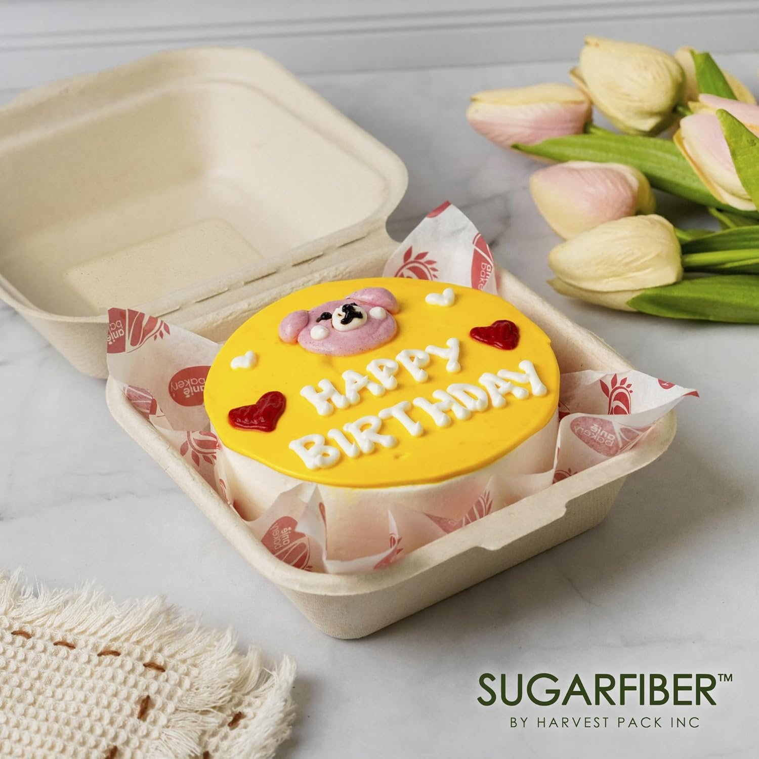Grossiste Contenants Alimentaires Compostables 6 X 6 Grossiste Contenants Alimentaires Compostables 6 X 6