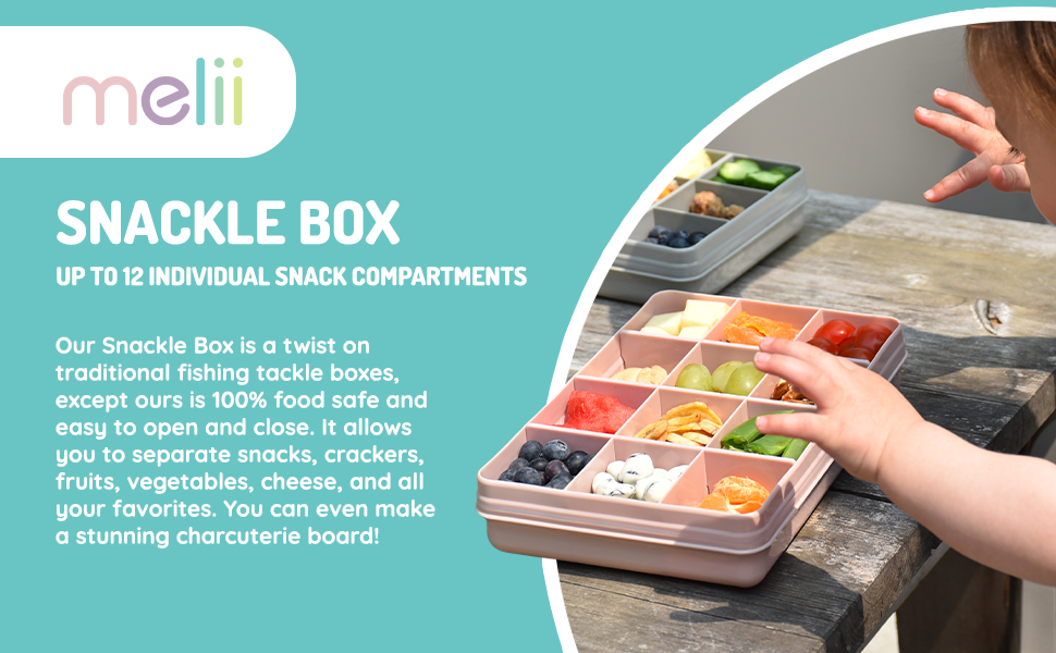 Grossiste boîte à collations 12 Compartiments | Récipient alimentaire BPA-Free avec séparateurs amovibles pour voyage, école et en déplacement | Fabricant d'organisateurs pour enfants et famille (Gris) | OEM disponible.