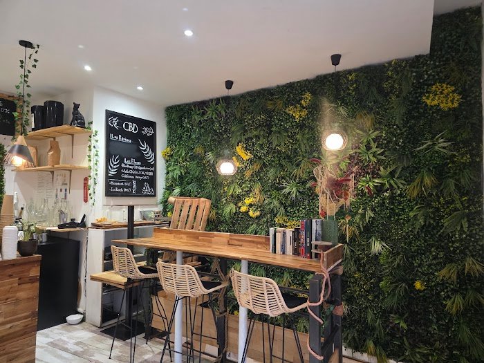 Un zoom sur la scène café à Toulouse : Expériences chez L'Oiseau Vert Un zoom sur la scène café à Toulouse : Expériences chez L'Oiseau Vert