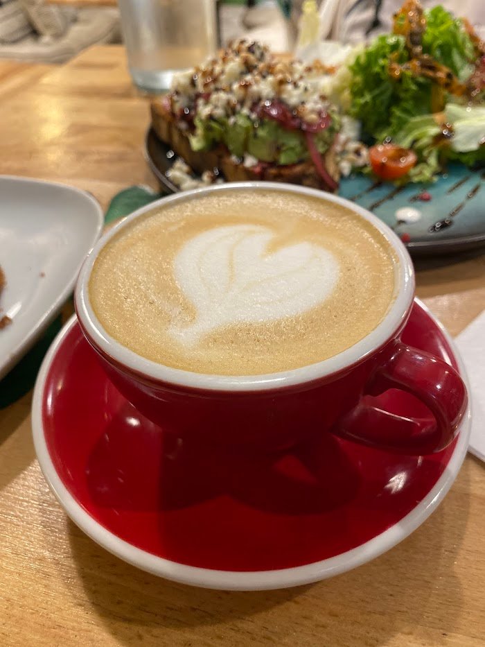 Un zoom sur la scène café à Toulouse : Expériences chez L'Oiseau Vert Un zoom sur la scène café à Toulouse : Expériences chez L'Oiseau Vert